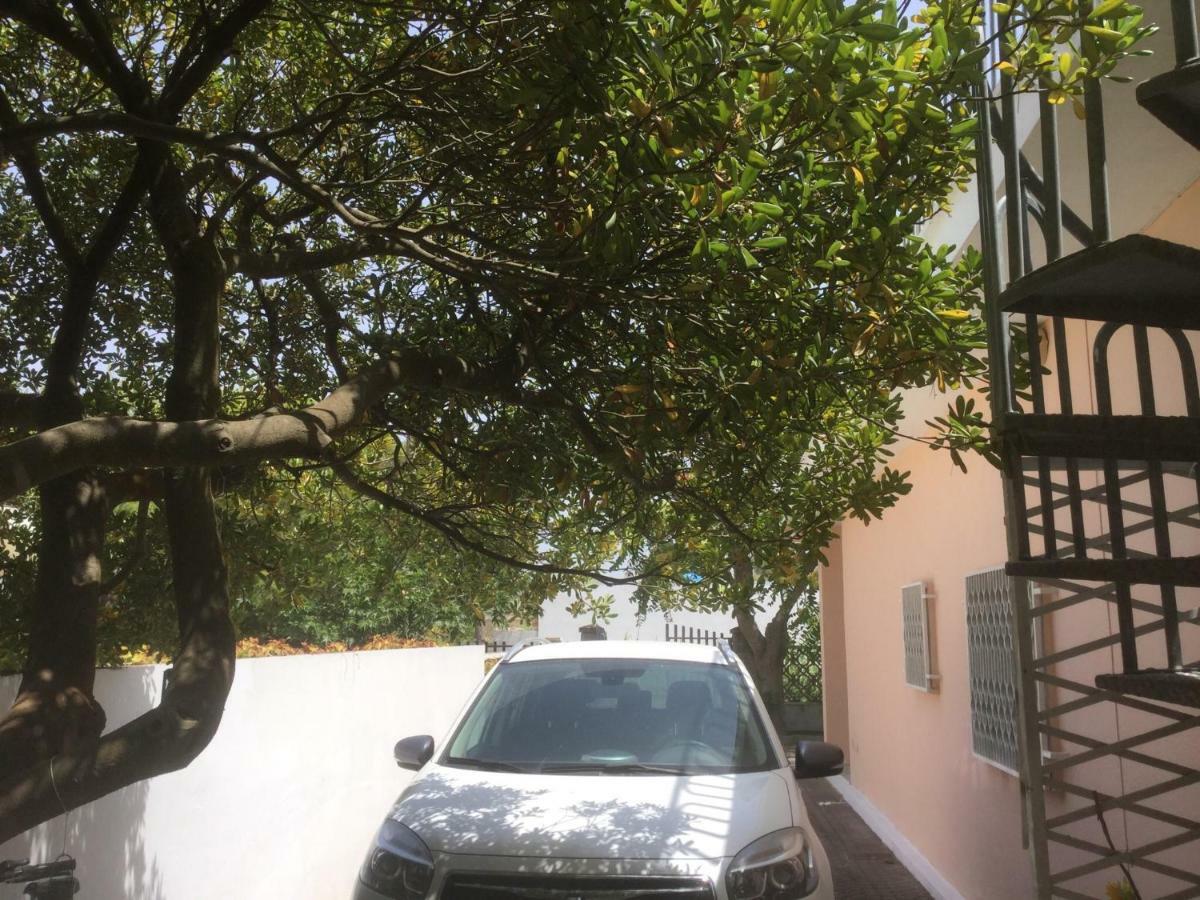 산 피에트로 인 베바냐 Il Marchese Mirante B&B 외부 사진